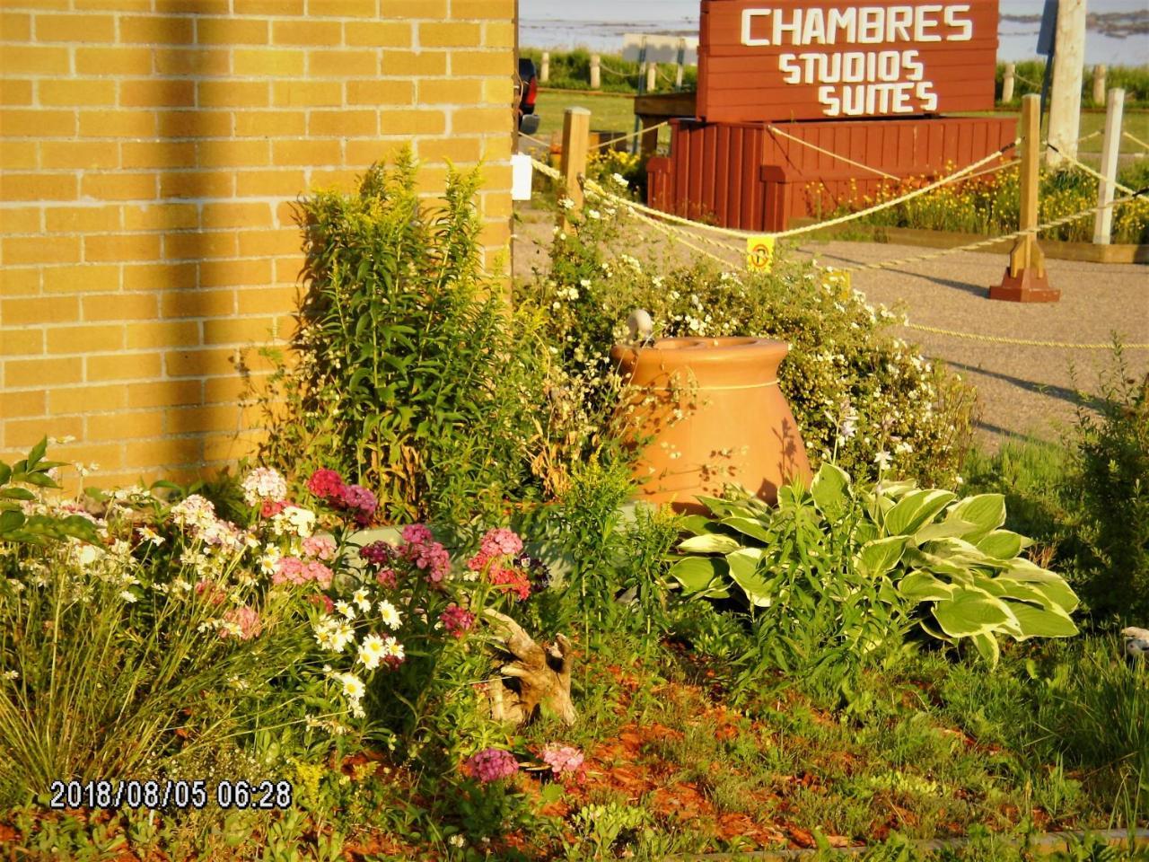 Sainte Anne-des-Chênes Auberge Internationale La Vieille Ecole מראה חיצוני תמונה